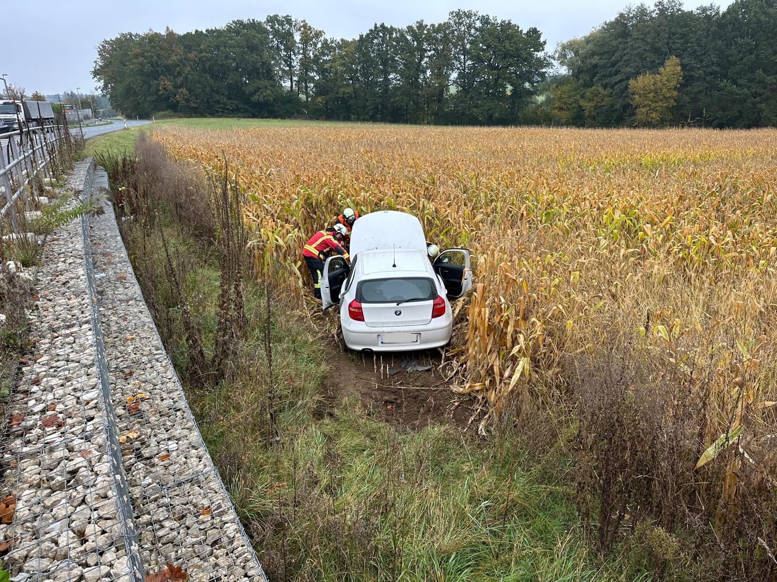 IMG-20241018-WA0001 bearbeitet.jpg